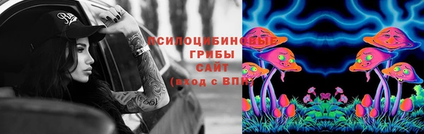 ALPHA-PVP Карталы