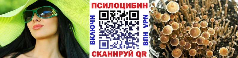 Псилоцибиновые грибы прущие грибы  Купить закладки  Сретенск 