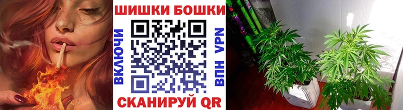 Купить где Сретенск Бошки марихуана MAZAR